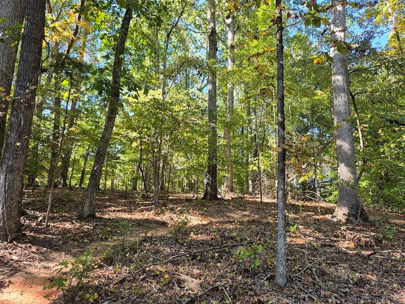 Anne Springs Close Greenway - Blue Star - Image 1