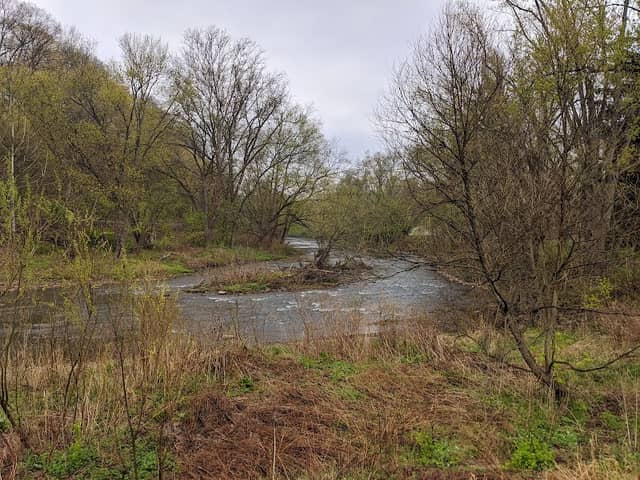 Porter Cove Natural Area - Image 1
