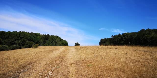 Katzensteiner Heide - Image 1