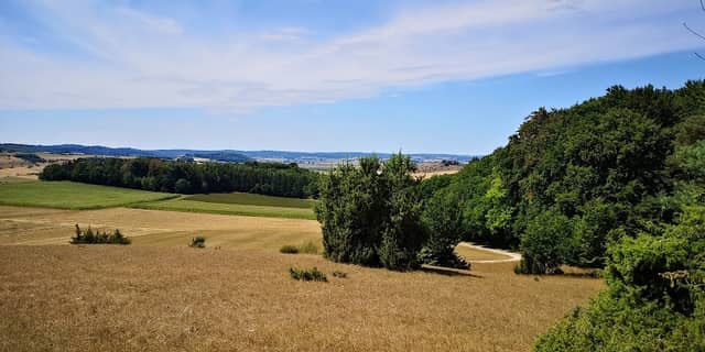 Katzensteiner Heide - Image 2