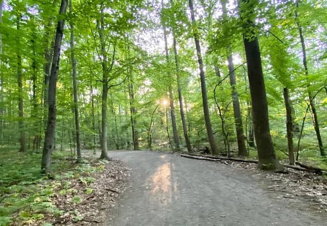 Daniels Run Park - Image 1