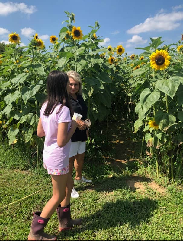 Berryman Farm LLC - Image 2