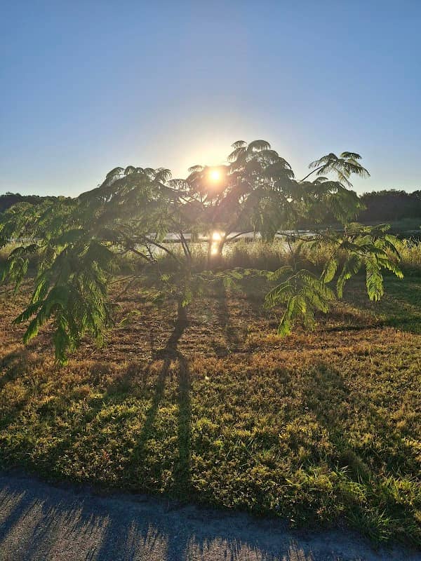 Don Griffin Recreational Trail - Image 1