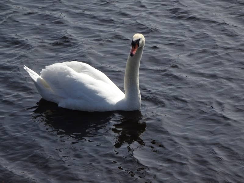 South Calder Water - Image 2