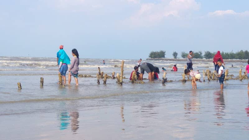 Mangrove Center - Image 1