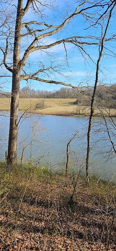 Rock Mill Lake - Image 1