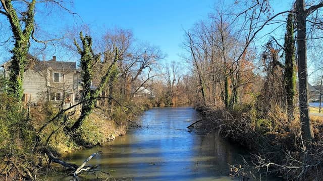 Cossey Botanical Park - Image 1