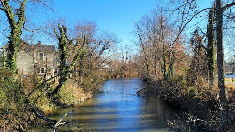 Cossey Botanical Park - Image 1