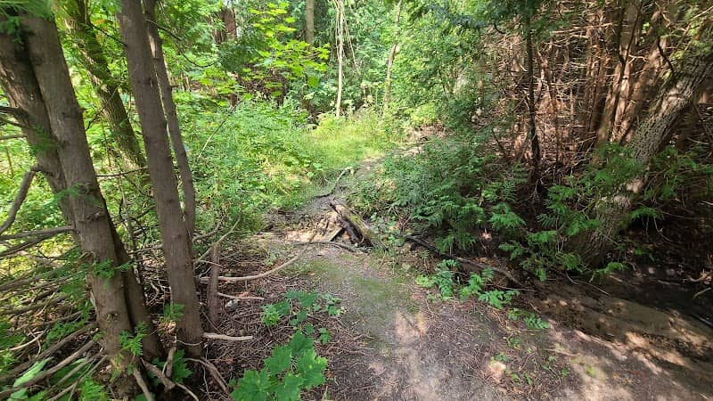 Church Cres Walking Trail - Image 2
