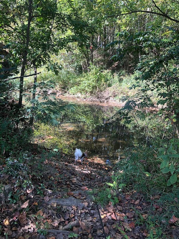 Carroll Park - Image 1