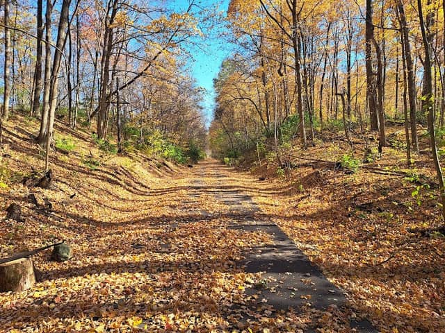 Honey Creek Trail - Image 1