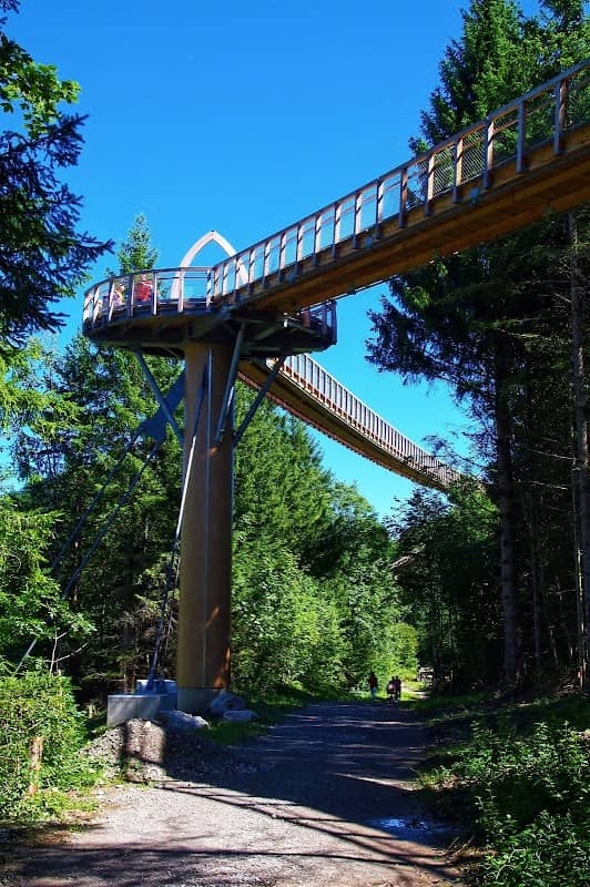 Baumkronenweg - Image 3