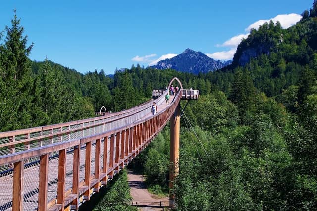 Baumkronenweg - Image 1