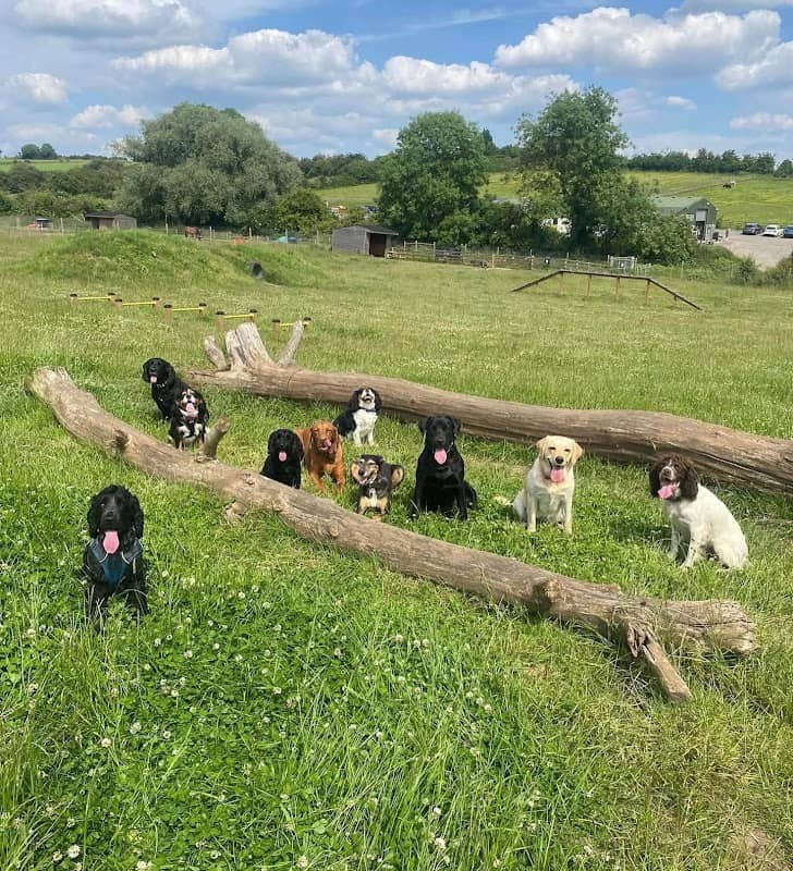 Millside Dog Park - Image 2