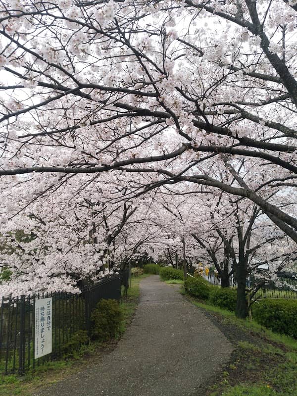 Futagozuka-kofun Park - Image 1