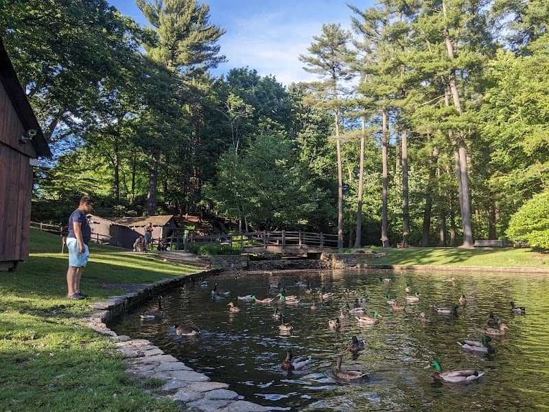 Duck Pond at Stanley Park - Image 2
