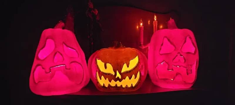 Crisfield Halloween House - Image 2