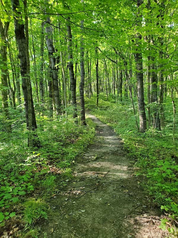 Ice Age Trail - West Bend Segment - Image 1