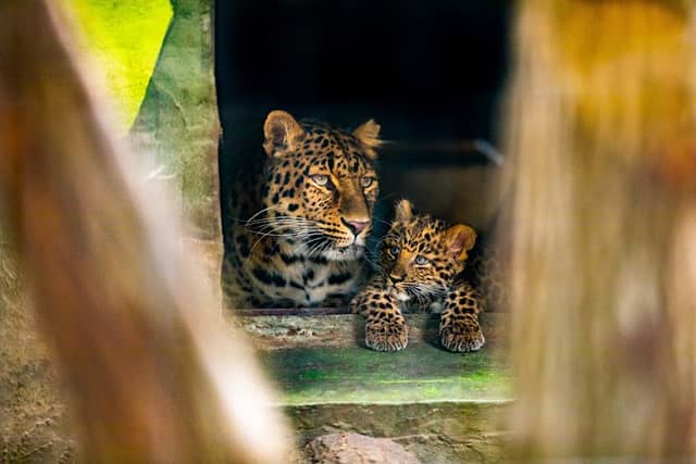 Zoo Hoyerswerda - Image 1
