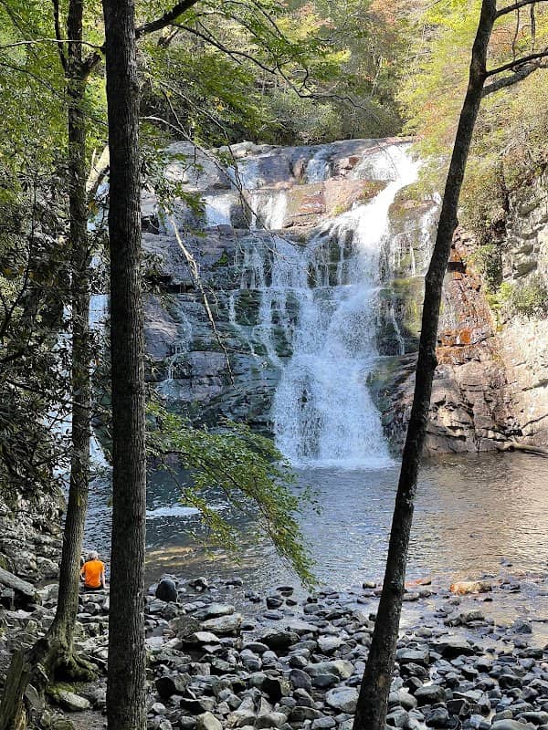 Laurel Fork Falls - Image 1