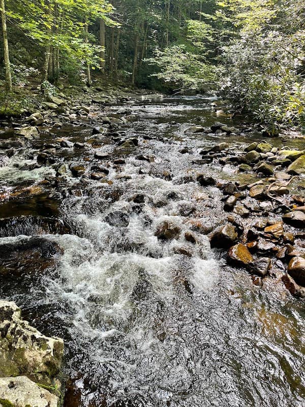 Laurel Fork Falls - Image 2
