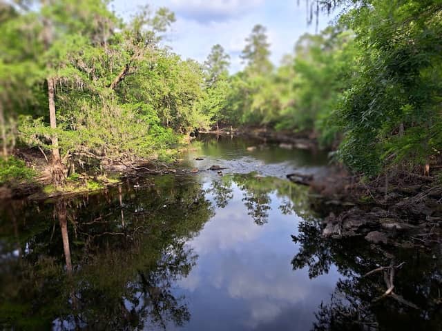 O'Leno State Park Old Bellamy Road - Image 1