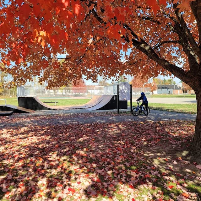 Veterans Memorial Park - Image 1