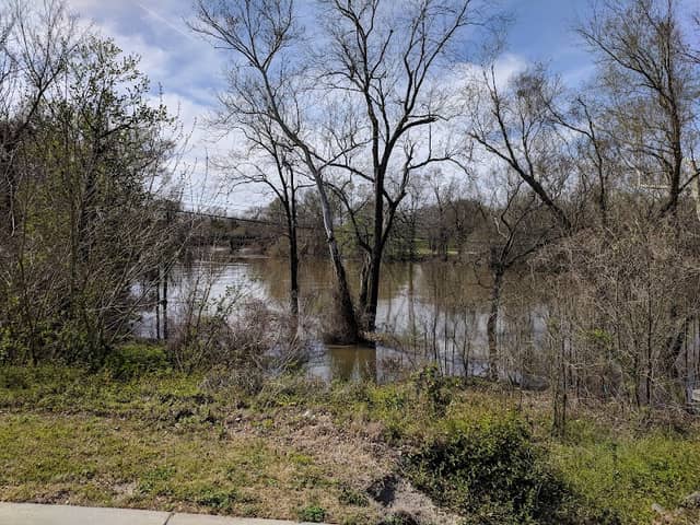 Pearson Park - Image 2