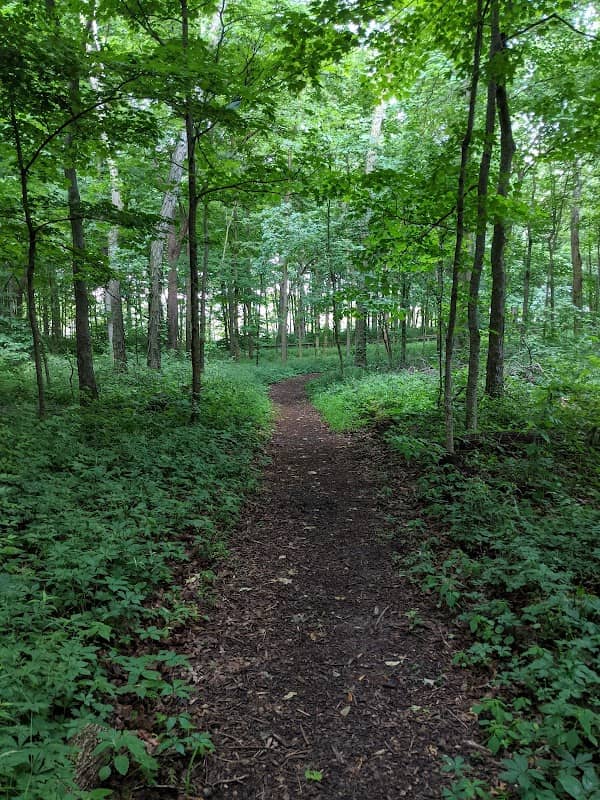 Armbruster Nature Preserve - Image 1
