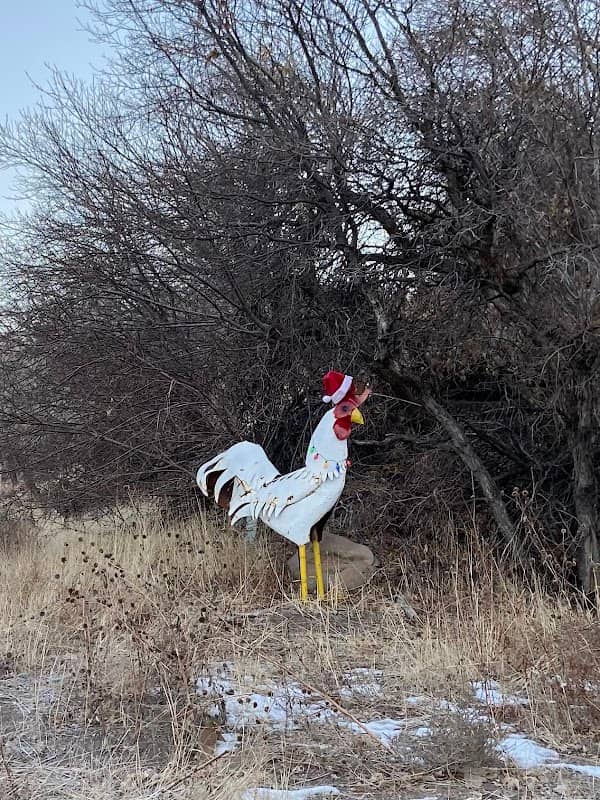 The Rooster - Image 2