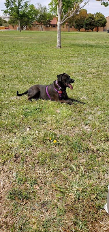 Haley Park - Image 1