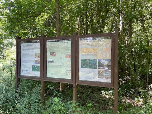 Fork Swamp Trailhead - Image 2