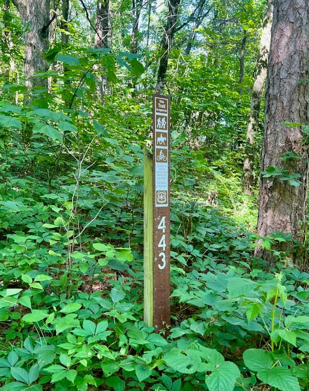 North Mountain Trail - Forest Trail #443 - Image 1