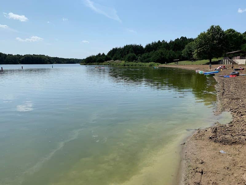 Lake Alvin Recreation Area - Image 1