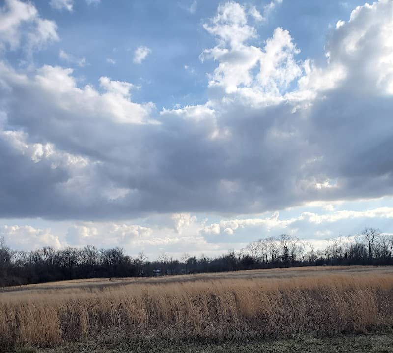 Glass Farm Conservation Area - Image 2