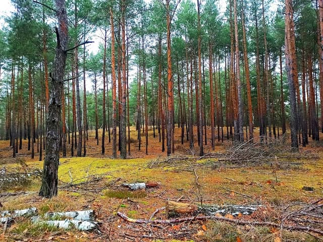 Górka na MTB - Image 2
