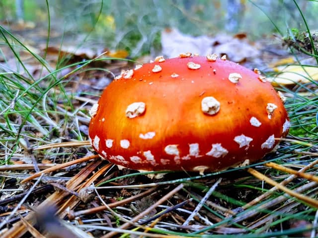 Górka na MTB - Image 1