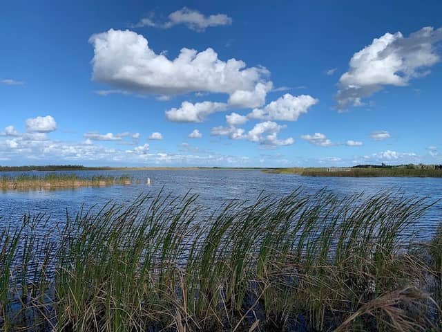 Loxahatchee National Wildlife Refuge - Parkland - Image 1