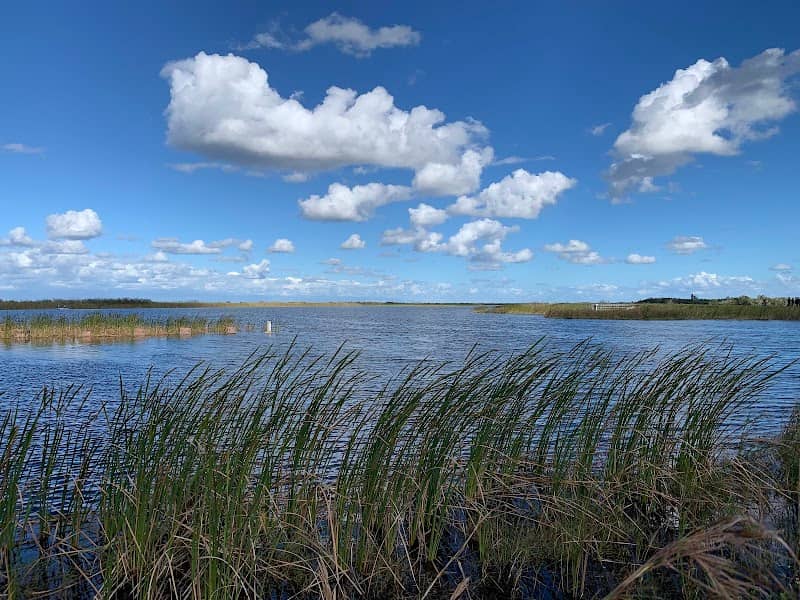 Loxahatchee National Wildlife Refuge - Parkland - Image 1