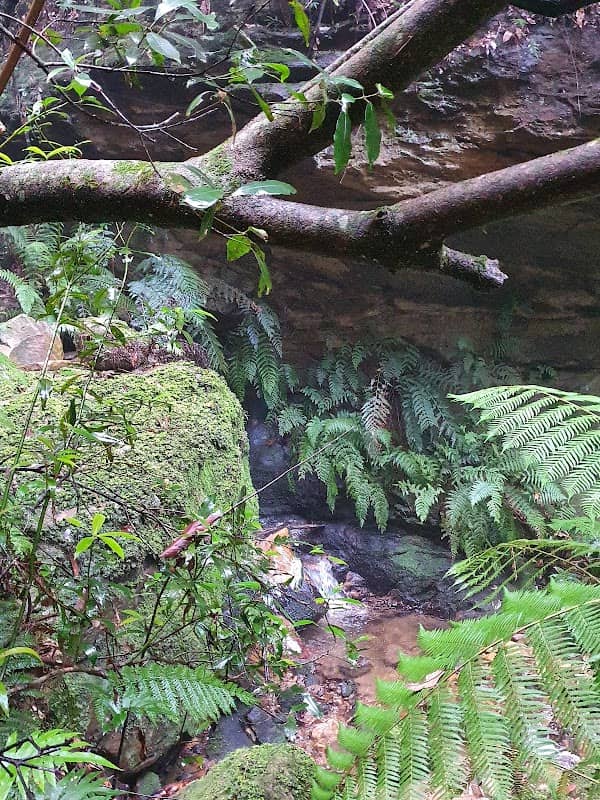 Kiah Lookout - Image 3