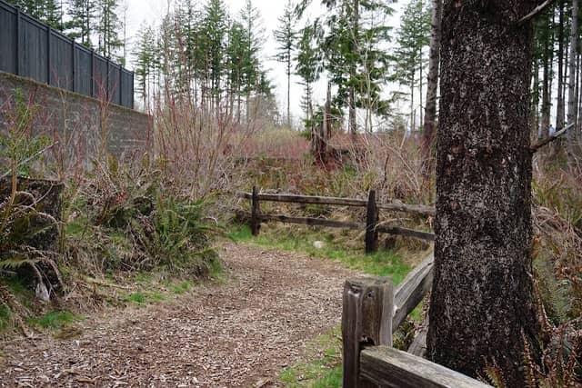 Ten Trails - Image 1