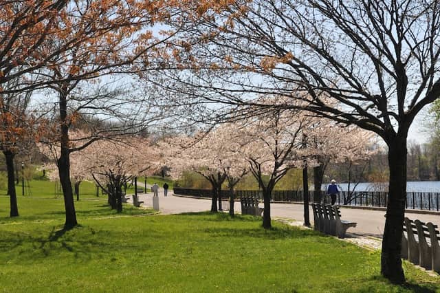 Silver Lake Park - Image 4