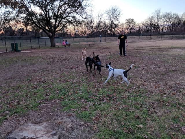 PAWS VALLEY DOG PARK - Image 2