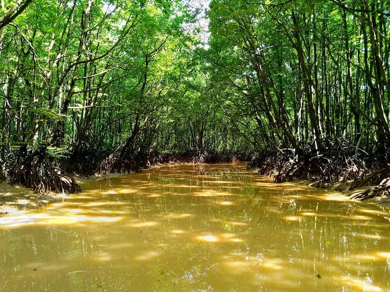 Mangrove Center Graha Indah - Image 1