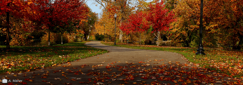 Island Park - Image 2