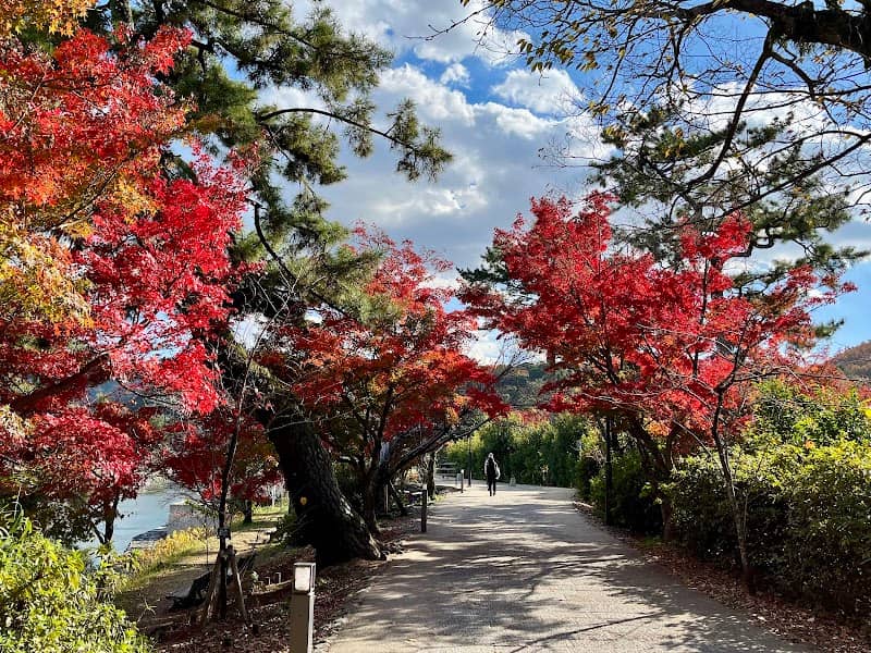 あじろぎの道 - Image 1