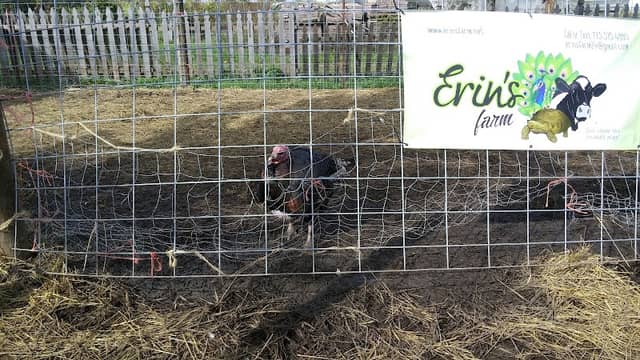 Garden Patch Farms - Image 2