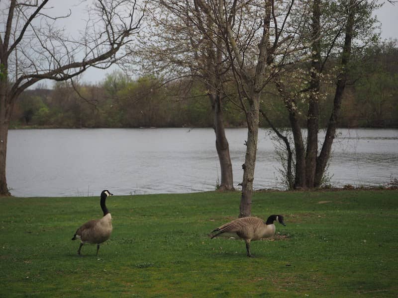 Gallup Park Canoe Fan Sculpture - Image 2