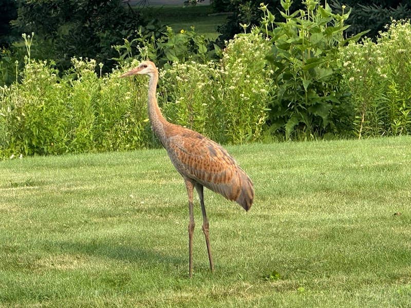 Willowbrook Park - Image 1