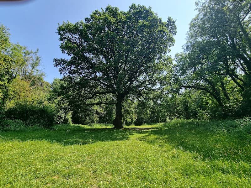 Tongwynlais Picnic Area - Image 1